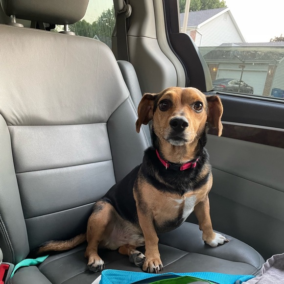 Meet your Posher, Doris - Picture 1 of 5